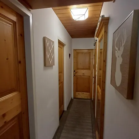 Apartmán Metzger - Steinbock *
