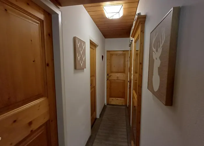 Apartamento Metzger - Steinbock *