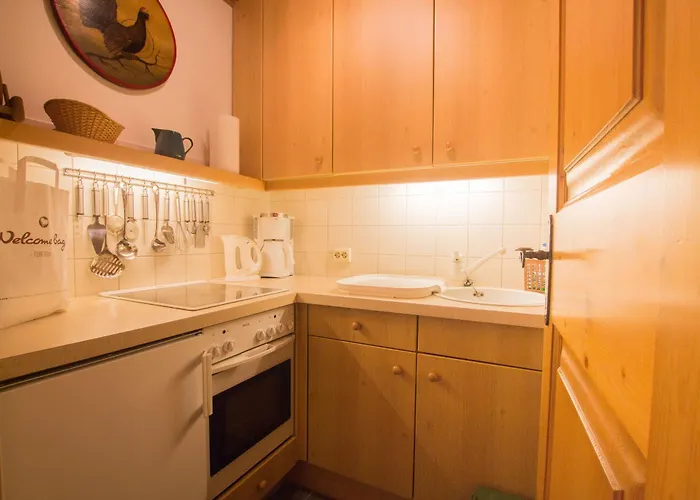 Appartamento Metzger - Steinbock